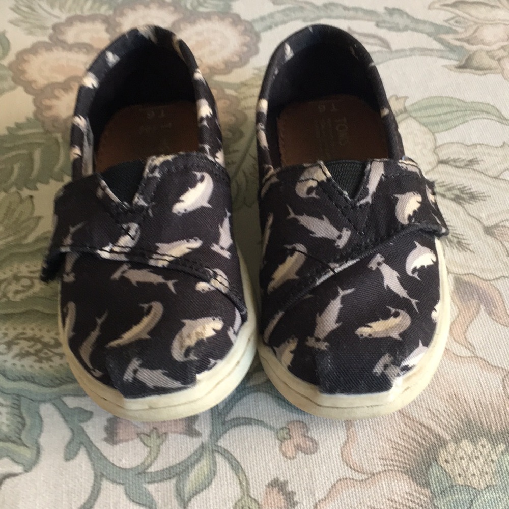 Shark toms